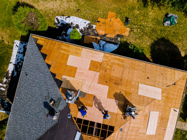 Best Shingle Roofing Installation  in Ridgeway, AK