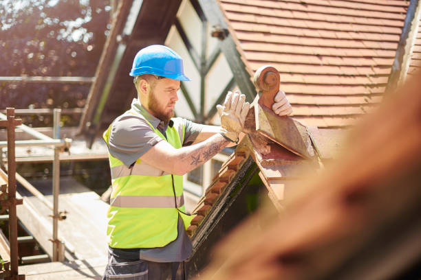 Best New Roof Installation  in Ridgeway, AK