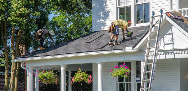 Best Roof Gutter Cleaning  in Ridgeway, AK